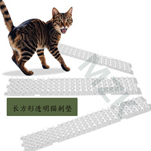 �L���� PET͸�����Ϸ����؈�̷��o��������������؈�̉|