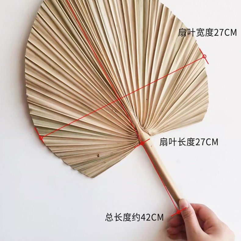 Pu fan hoja girasol fan hoja grande flor seca hoja de palma ventana vino fiesta arte colgante de pared decoración boda Arco de la boda diseño