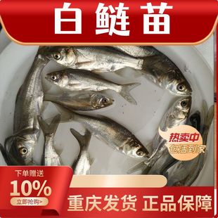 ����ˮ�|�����~���ش�̖���Iˮ���������Ӵ�׵�ˮ�~���~���؂�