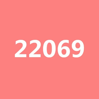 22069