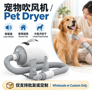 低噪音宠物吹水机家用大功率直吹厂家直销定制宠物吹风机狗狗吹干