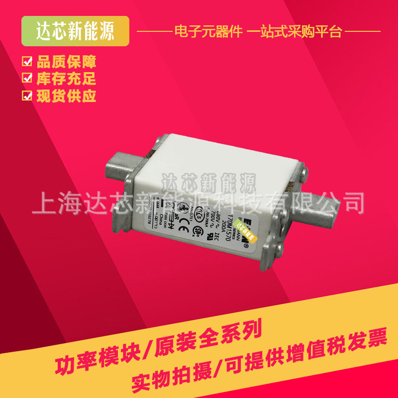 170M1568D 170M1569D 170M1570D 170M1571D 170M1572D全新熔断器