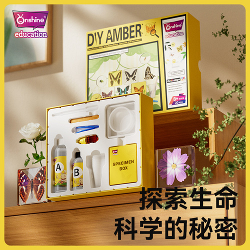 onshine real plant insect specimens resin bugs amber butterflies making children's observation science toys