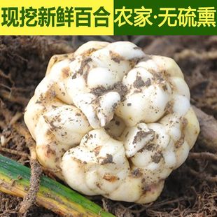 ���؛ʳ�����r�ٺ����d�r�ٺ���ɽș�ðٺϸɴ��΢����m��