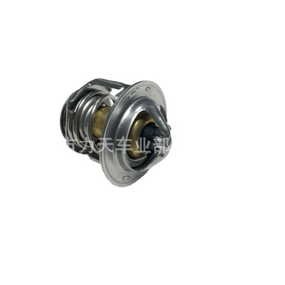 Tercel RAV4 – Thermostat