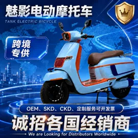 电动摩托车;电动自行车;电动三轮车
