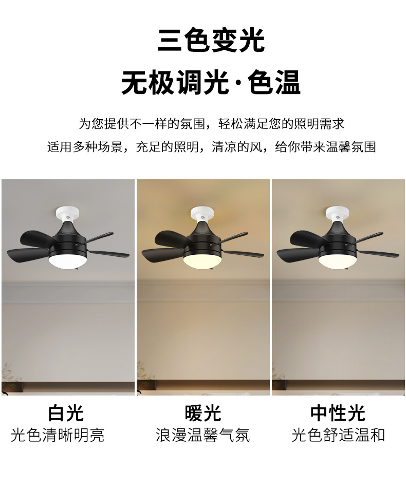 可拆卸扇叶吊扇灯