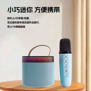 Speakers, handheld microphone, bluetooth, custom-made