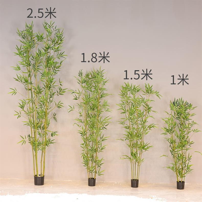 微信图片_20240826124632