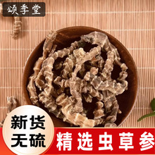 ��ș������x�݅����x���r�؅����x���񹝅�������؛���Ҝ���