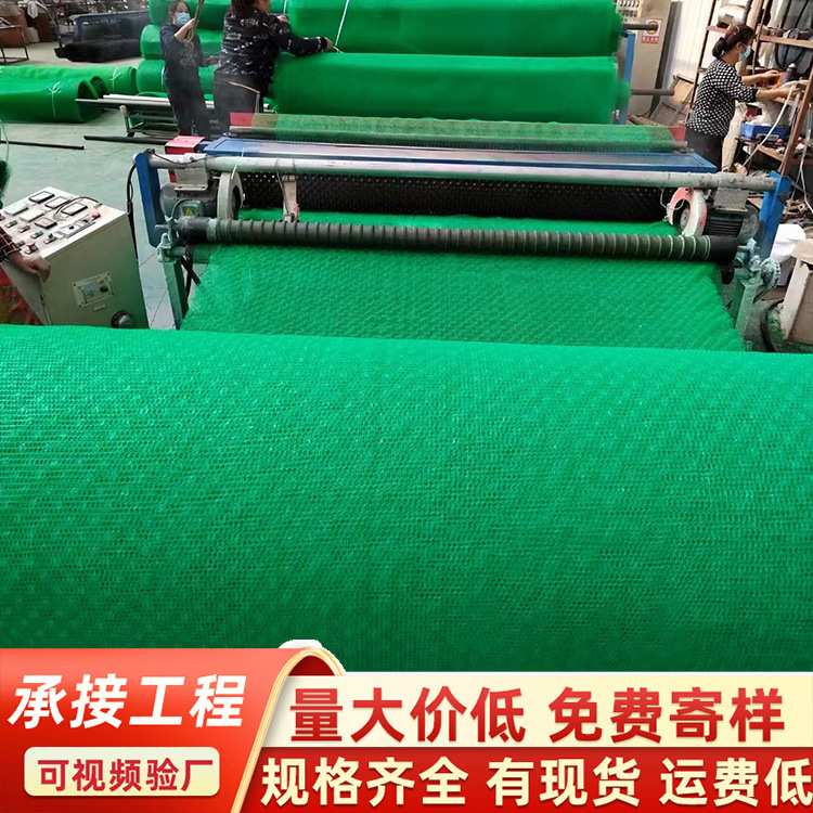 厂家直销塑料网格片 水库堤坝防护土工网 养殖围栏平网育雏脚垫网