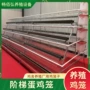 养殖养鸡场多层字形蛋鸡笼