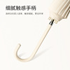 Japanese fresh automatic umbrella, wholesale