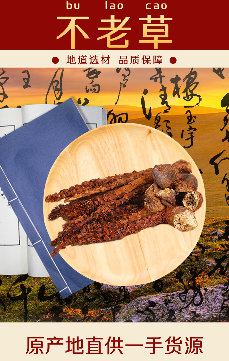 Bu Lao Cao Dried Herb 500g Boschniakia Rossica Whole Root for Herbal Wine and Decoction overview