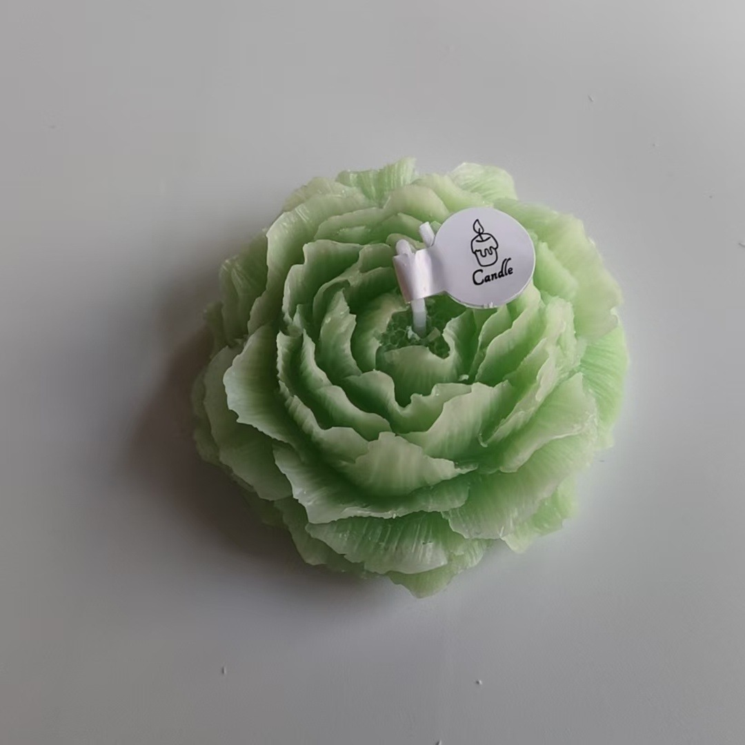 Verde. . sal marina de salvia