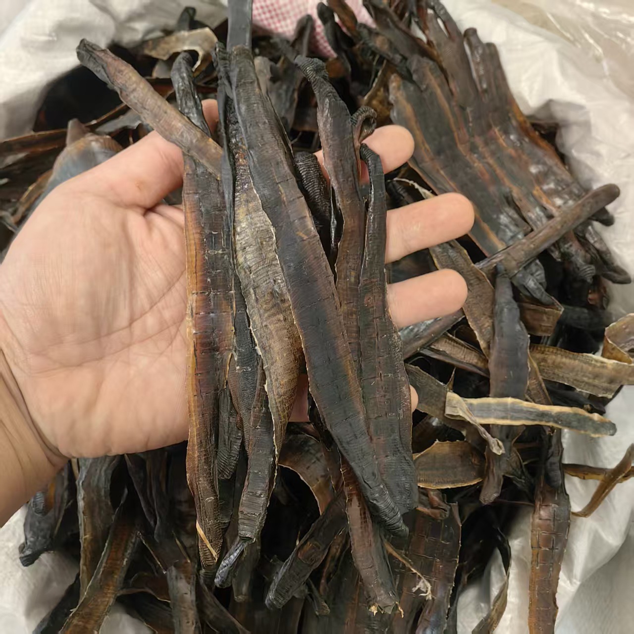 Dried Earthworm Di Long Slices Salt-Free Sand-Free Guangxi 2025 Harvest 500g Powder Option quality and texture