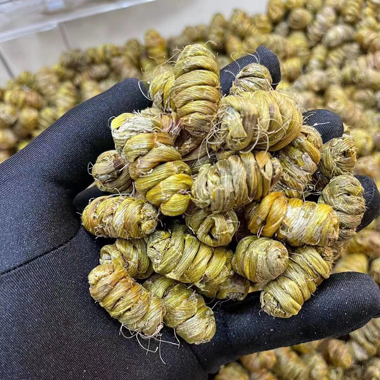 微信图片_20230420162148