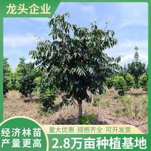 �o������ľ�@�־G���е����̆�ľ��������ļ����ྰ�^������