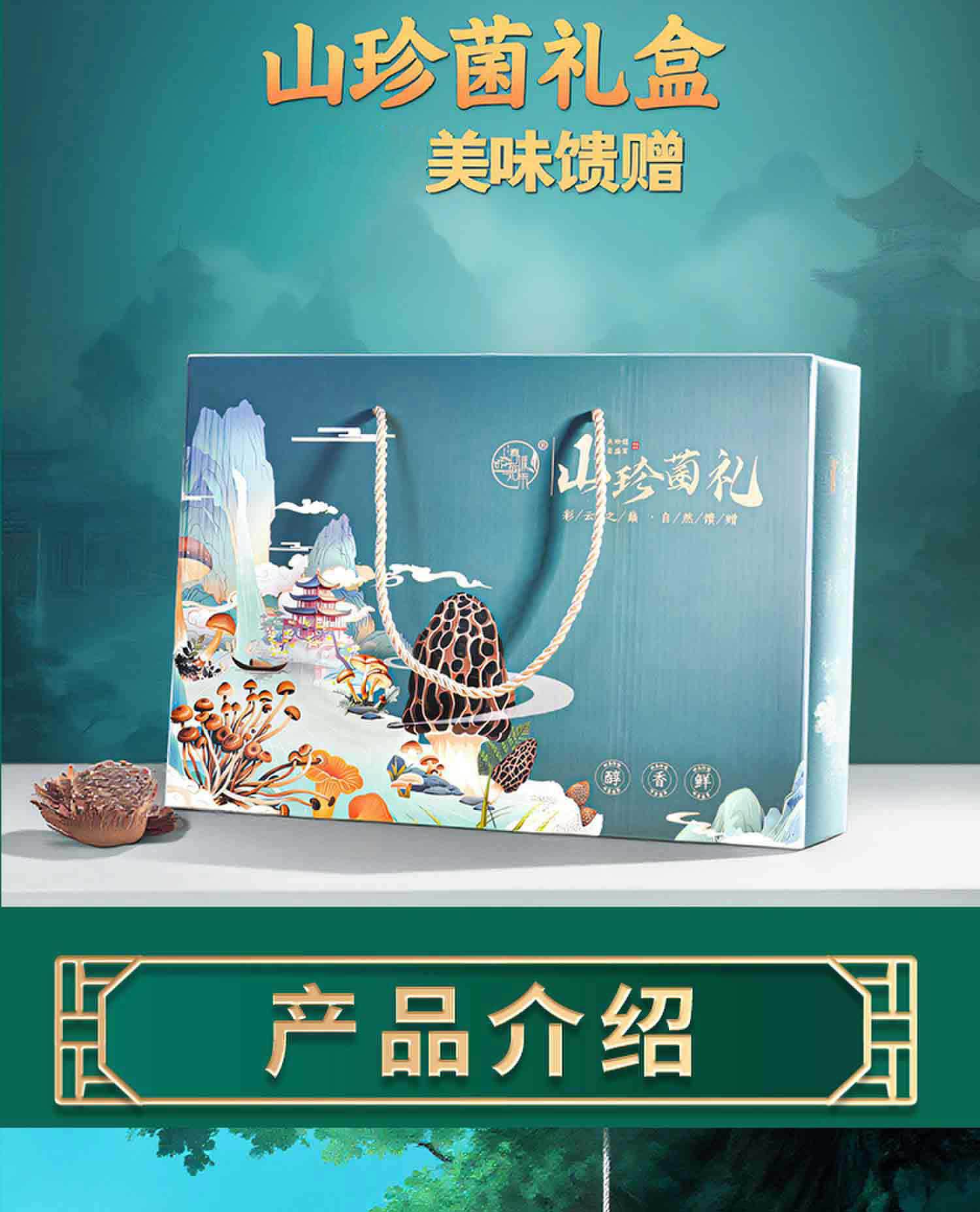 Yunnan Wild Mushroom Gift Box Dried Morel and Chanterelle Soup Pack 355g Nine Mushroom Assortment quality and texture