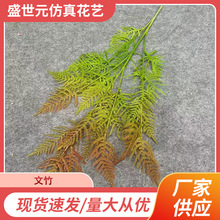 厂家供应禅意古风摆放仿真天冬文竹民宿装饰仿真云片松刺蕨草批发