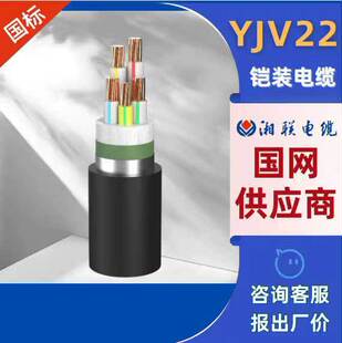 ���~��|ZC-YJV22�z�b��|�����˼��~Ӳ���|16 25 50ƽ�������|