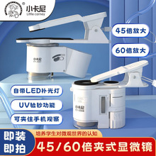 ��ͯ�@΢�R��С�W�����ñ�y�ɿ����������ƌW���������ߊA�֙C