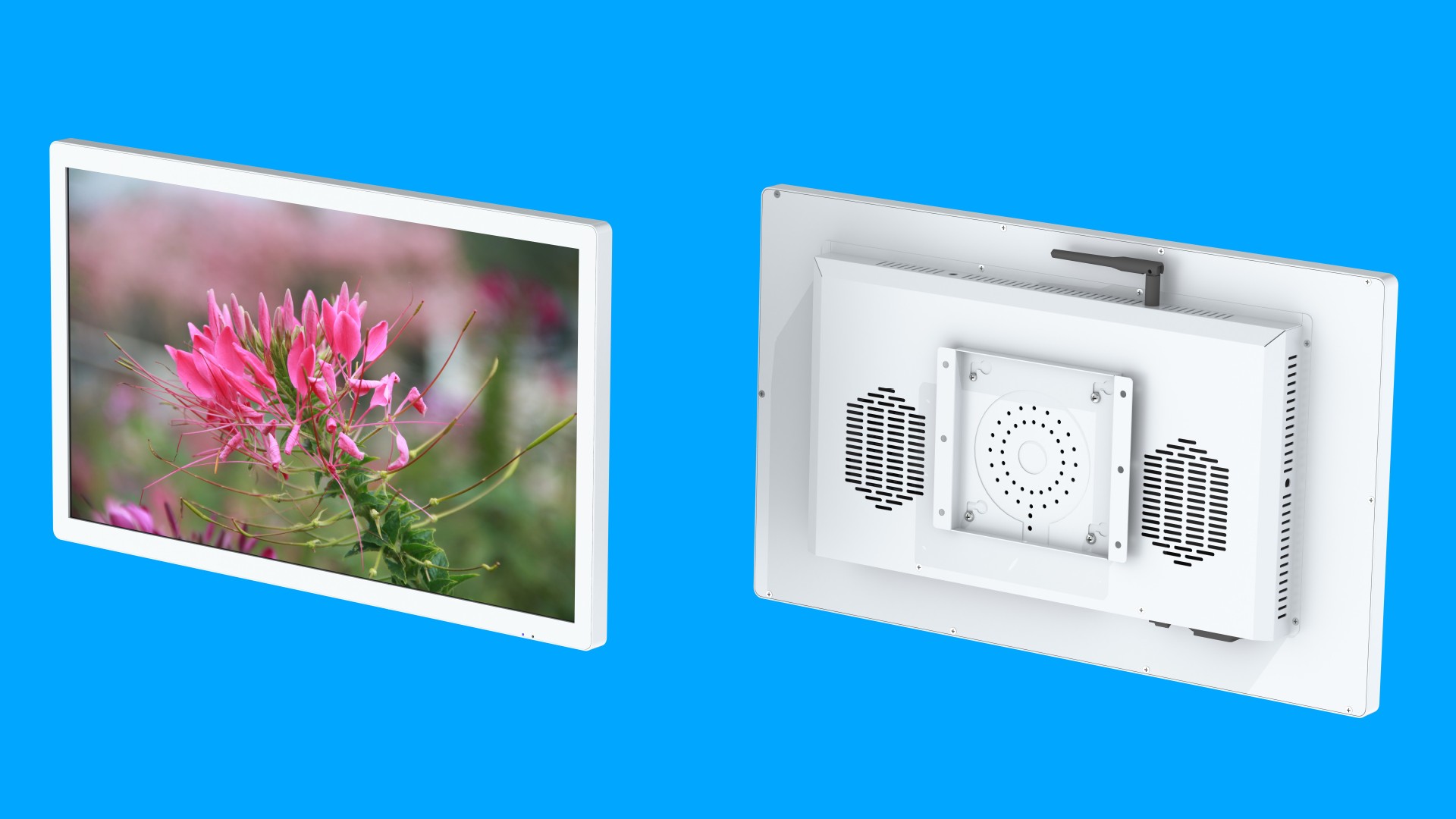 21.5寸19B款壁掛純平白色效果圖