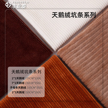 秋冬天鹅绒坑条320g哑光中弹灯芯绒保暖套装TC涤棉天鹅绒针织面料