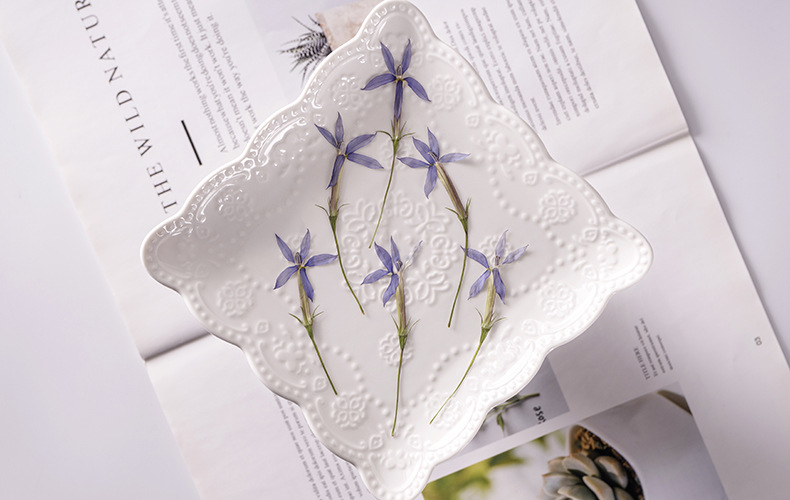 h2uTiviiztSHn2aJjQ1YWs2L5qfucIOu/ZgZ