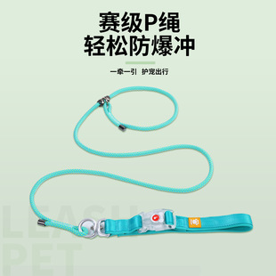 Glowing P-Strap Dog Leash Nylon Tether Dog Leash Anti-Tangle Small Medium Large Dog Braided Pet Leash Dog Training P-Chain