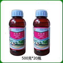 济宁通达40%辛硫磷地下害虫食心虫食叶害虫蚜虫500毫升