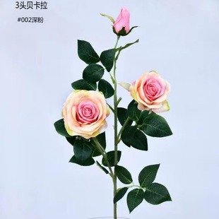 ���ٴ�ĵ���z���Wʽ��̖��ĵ����ɫ�͹Ŵ���ϵ�͏d�ҾӔ[��ֱ�N