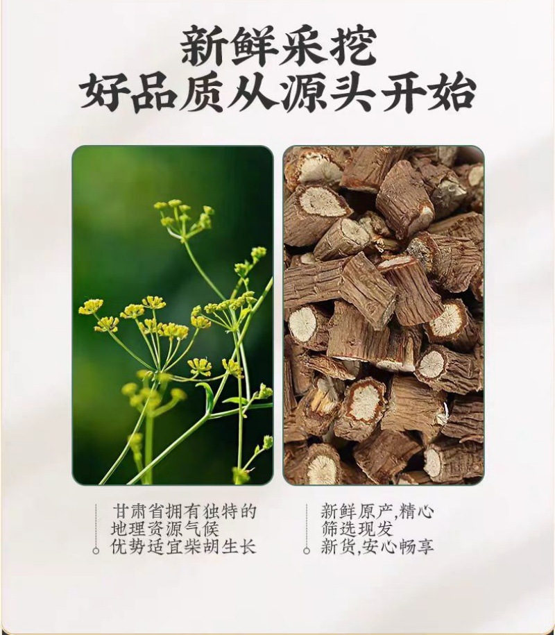 Chai Hu Root (Bupleurum chinense) — Dried TCM Herb, Gansu Origin, 500g key features