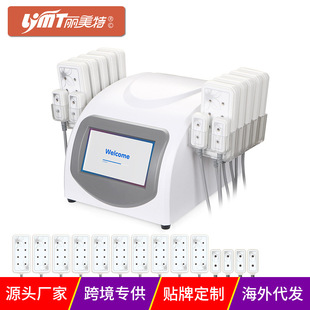 Cross-Border Supply 10+4 Desktop Lipo Patch 5Mw Body Shaping and Slimming Beauty Equipment Manufacturers Wholesale Foreign Trade Supply