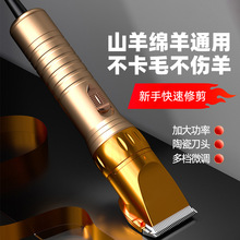 �d����Ƽ����ʶ��n��ë��������ë����ë������ë���ﹷ���