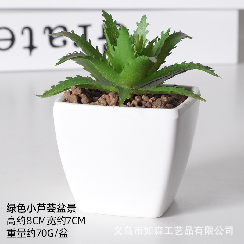 Simulación de plástico carnoso bonsai flor falsa combinación oficina interior escritorio plantas verdes pequeños adornos plantas artificiales al por mayor image 38