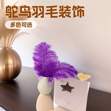 ����ֱ��15-80cm����ë��̨�ݳ���ɫ��ë����DIYװ��������˿��