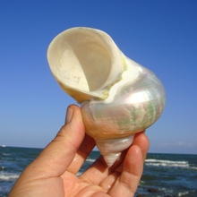 ��ؐ������ÓƤ�G�������ݼľ�з��ؐ�~�Ú��~���b�̨�[������