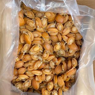 ��������ζ���l��̖���U�~ ���l���B�U��؛���U�W�U500��