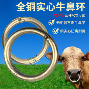 ����˩ţȦ����Ȧţ�ǭhţ��Ȧ�����Bֳ�Bţ�O�����Сȫ�~ţ�ǿ�