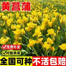 �S���ѷN���S���Sβˮ����ˮֲ����ˮ����ˮ�ݷN��������ˮ�T��