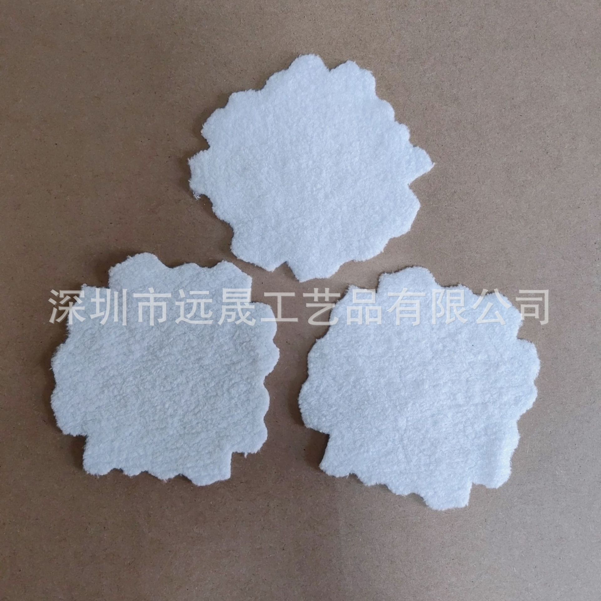 B612Kaji_20240804_131938_949