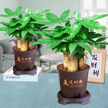 �lؔ������ֲ���҃��k���Һ��B�Gֲˮ��͏dС�辰�ļ���������ȩ