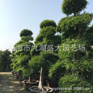 �������l�ܘ�䘶�辰 ɽ�|�ܘ䘶���r�� ���K��Ʒ�ܘ䘶��r