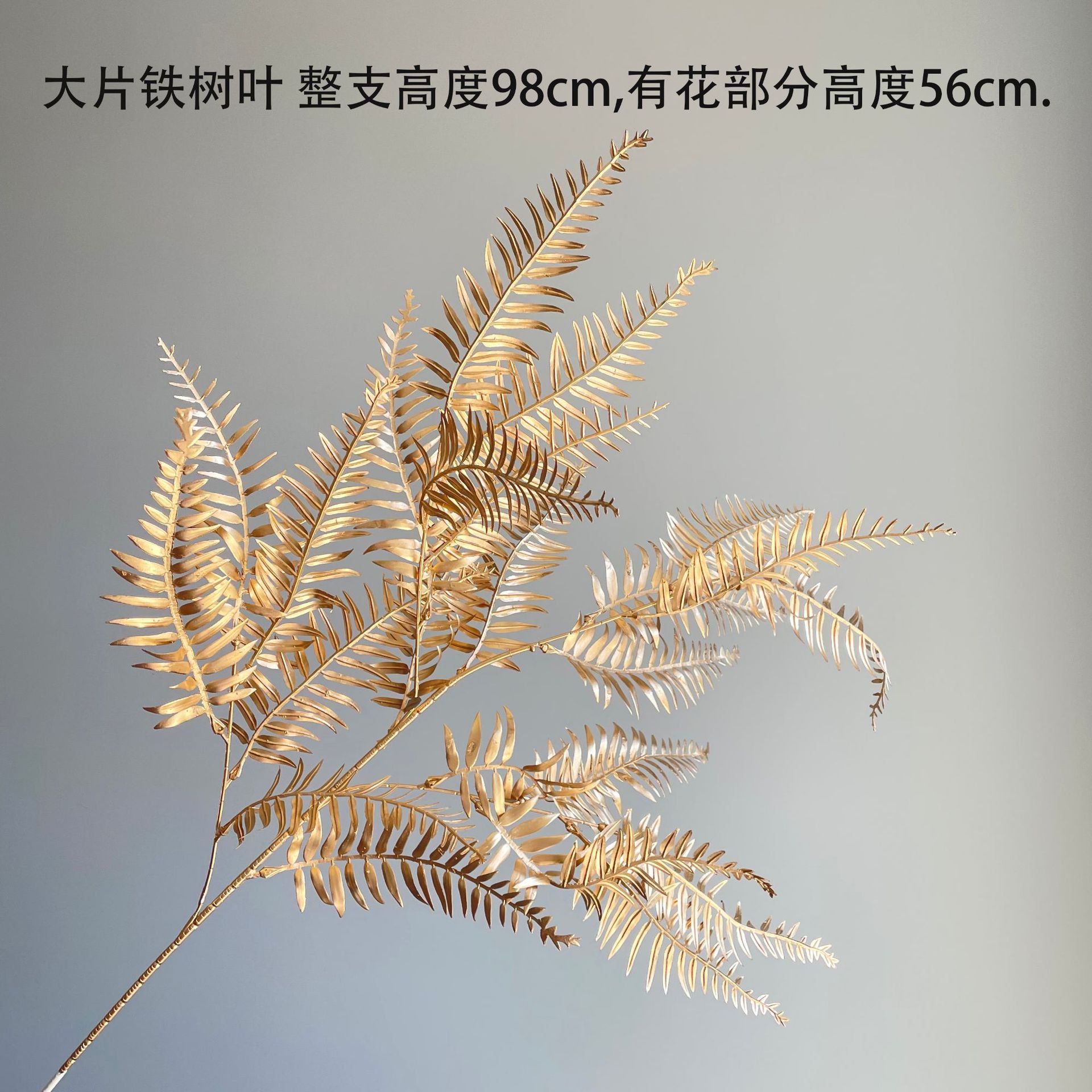 SKU44_颜色_大片铁树叶