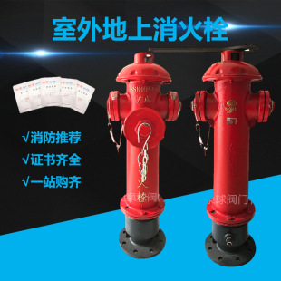 ��VSSF100/65-1.6������ϵ���ʽ����˨����dn100����˨��ײ�Ӹ�