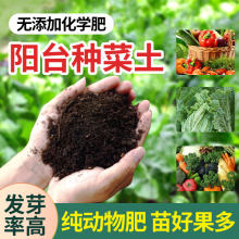 阳台菜园土种菜土蔬菜育苗土壤箱种植土椰糠土椰砖营养土