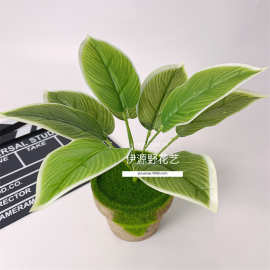 仿真叶子马蹄莲叶绿萝叶万年青植物墙绿化绿植餐厅摆放装饰