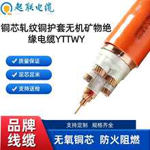 YTTWY(0.6/1KV)�~о܈�y�~�o�ןo�C�V��^����|�m��춴����վ
