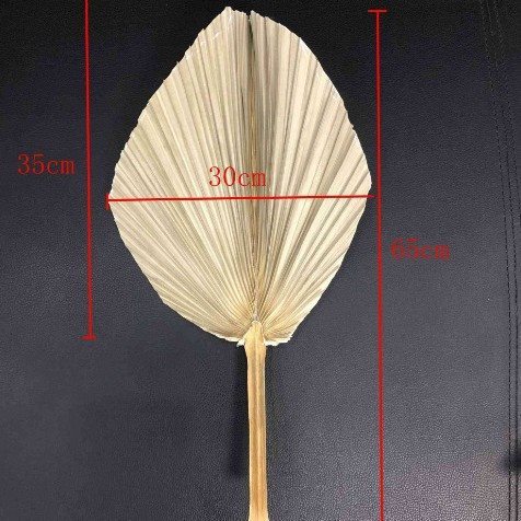开学季金黄秋日楼道自然环创竹排蒲扇干花小芦苇背景墙装饰素材包|undefined